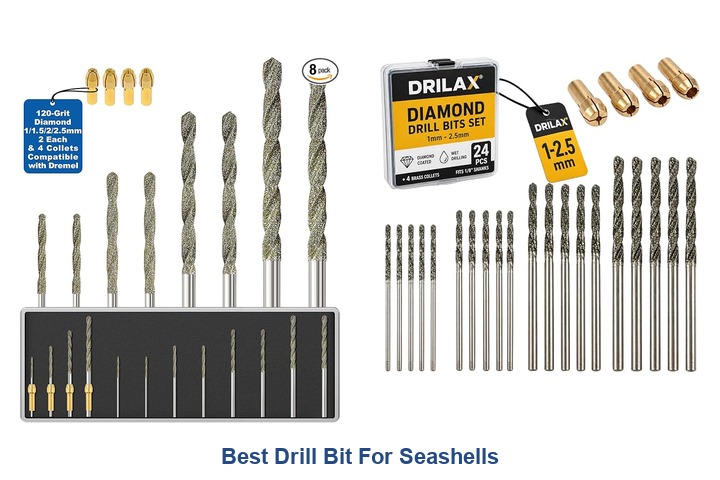best drill bit for seashells