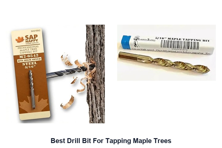 best drill bit for tapping maple trees