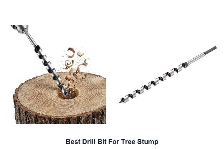 best drill bit for tree stump