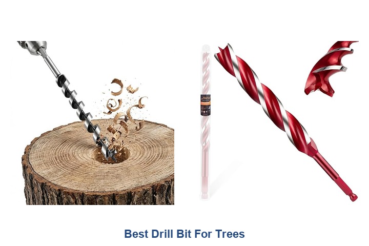best drill bit for trees