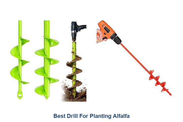 best drill for planting alfalfa