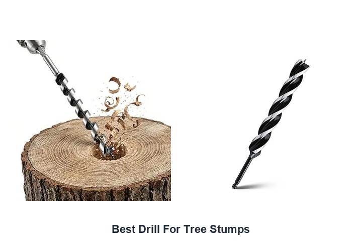 best drill for tree stumps