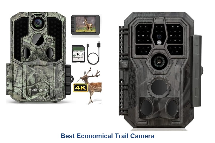 best economical trail camera