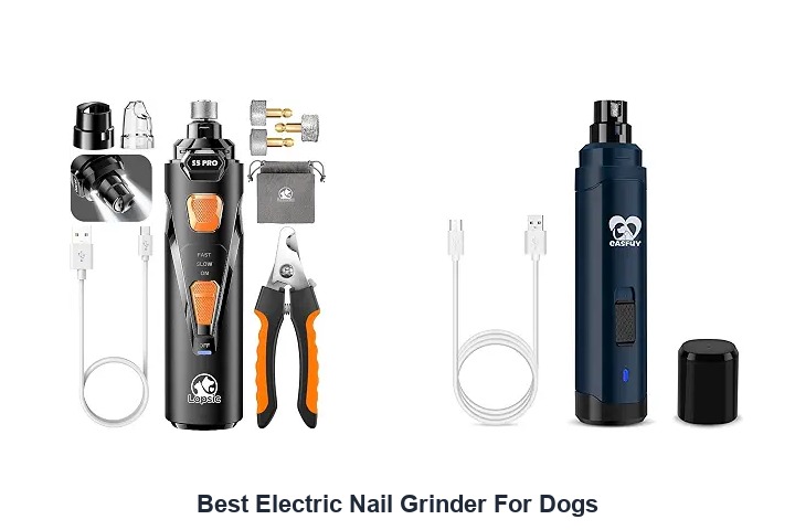 best electric nail grinder for dogs