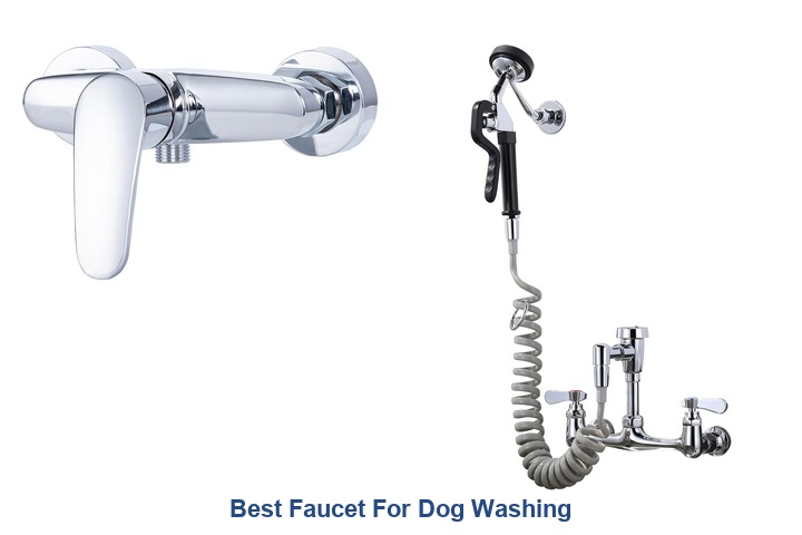 best faucet for dog washing