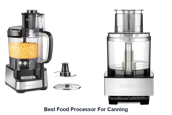 best food processor for canning​