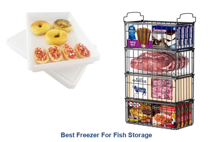best freezer for fish storage