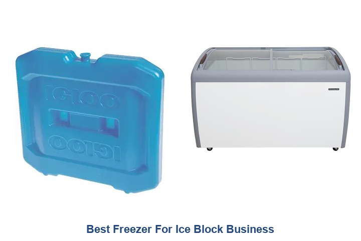 best freezer for ice block business