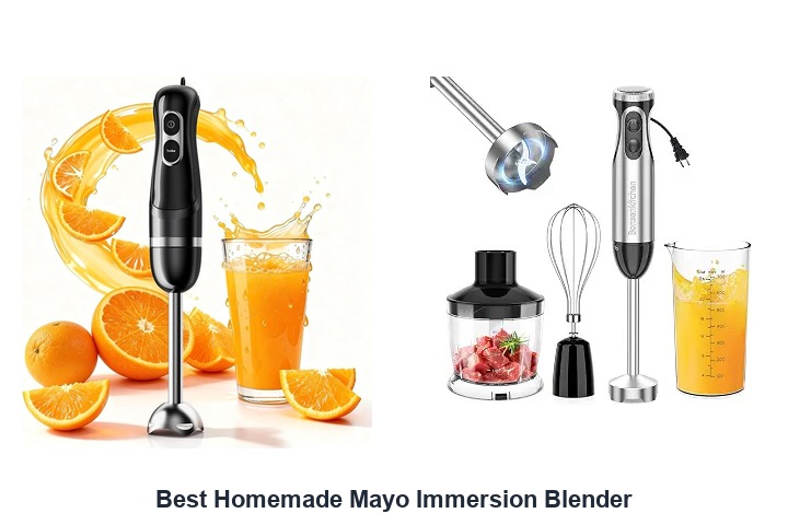 best homemade mayo immersion blender