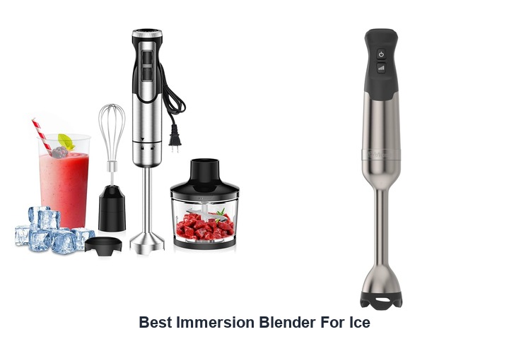 best immersion blender for ice