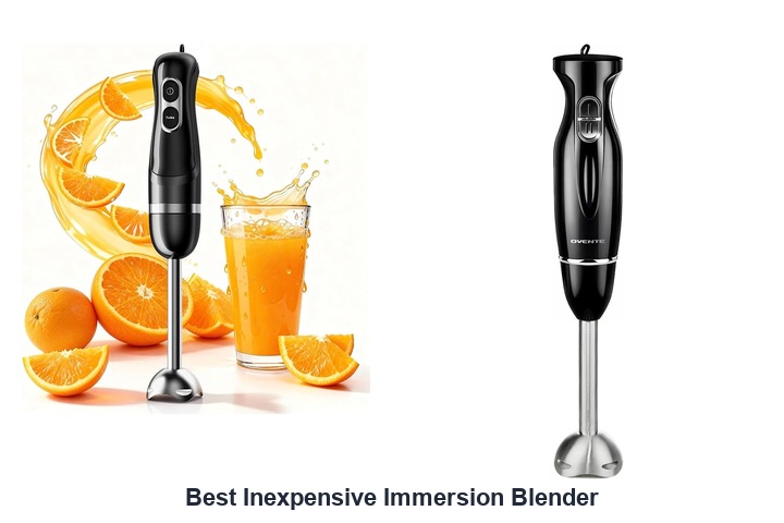 best inexpensive immersion blender