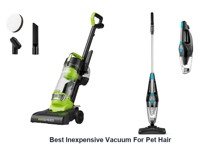best inexpensive vacuum for pet hair