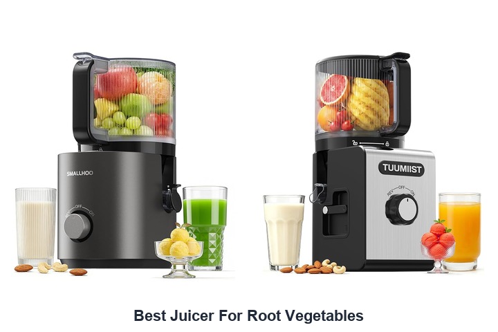 best juicer for root vegetables