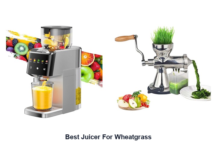best juicer for wheatgrass