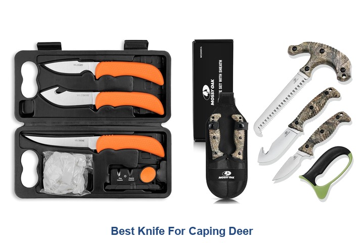 best knife for caping deer​