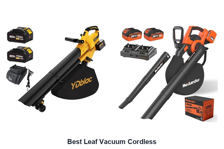 best leaf vacuum cordless