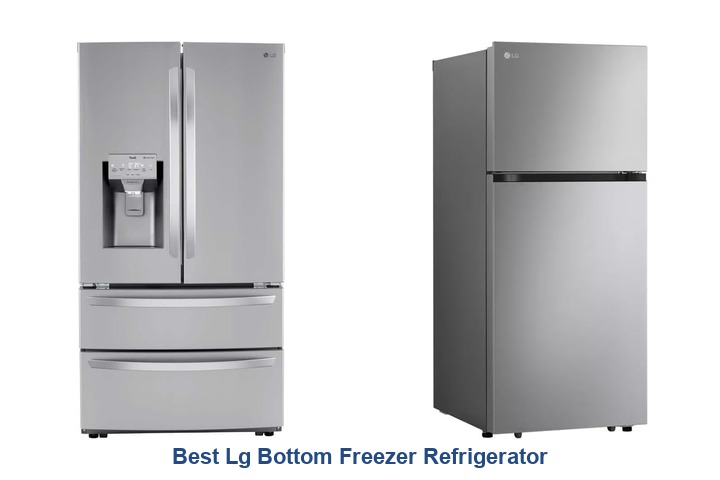 best lg bottom freezer refrigerator