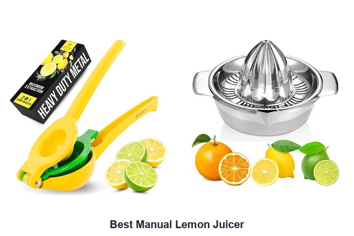 best manual lemon juicer