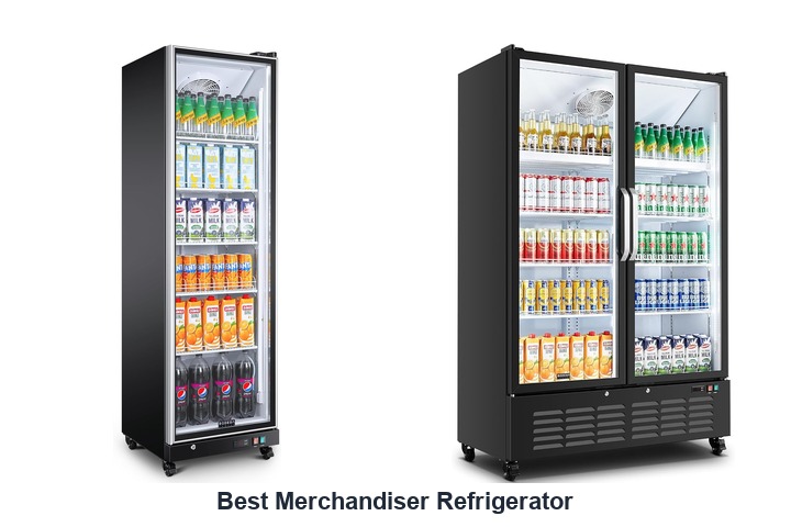best merchandiser refrigerator
