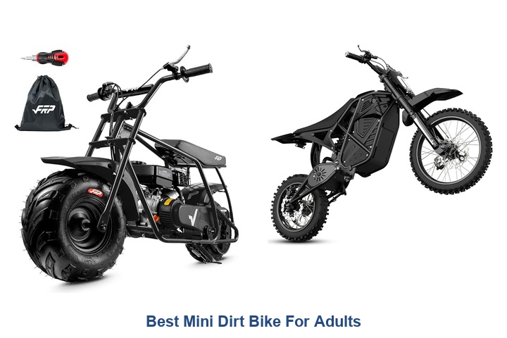 best mini dirt bike for adults