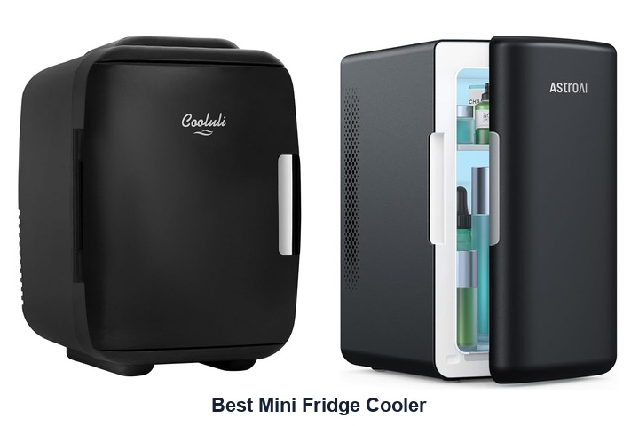 best mini fridge cooler​