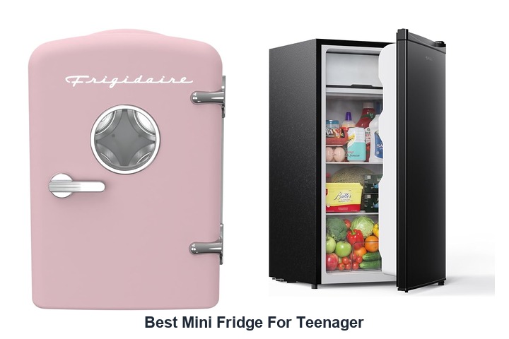 best mini fridge for teenager​