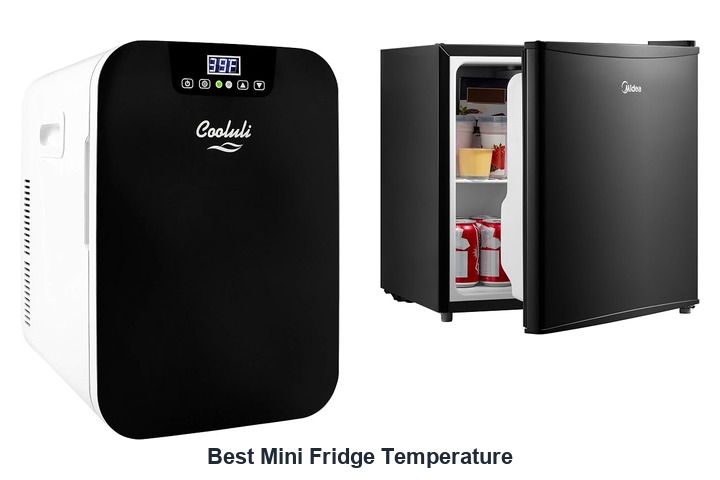 best mini fridge temperature​