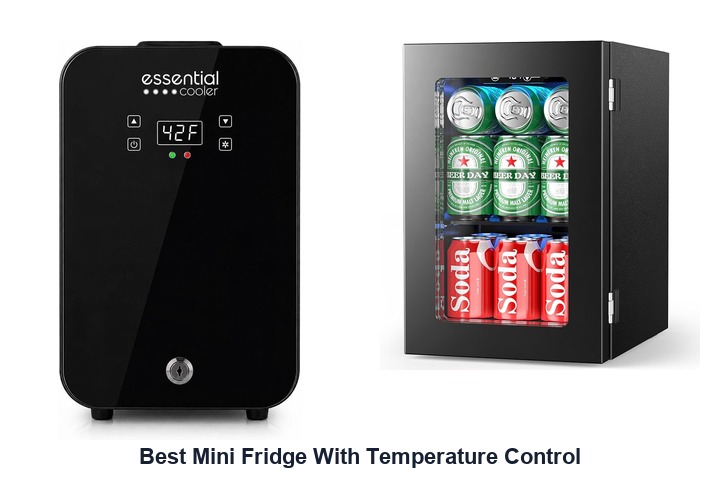 best mini fridge with temperature control​