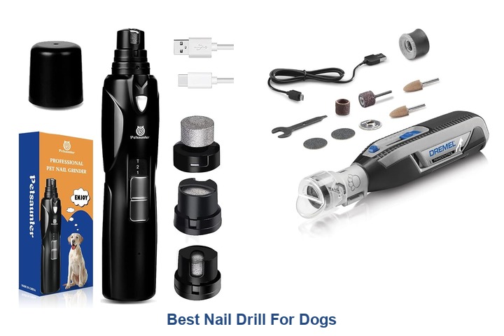 best nail drill for dogs