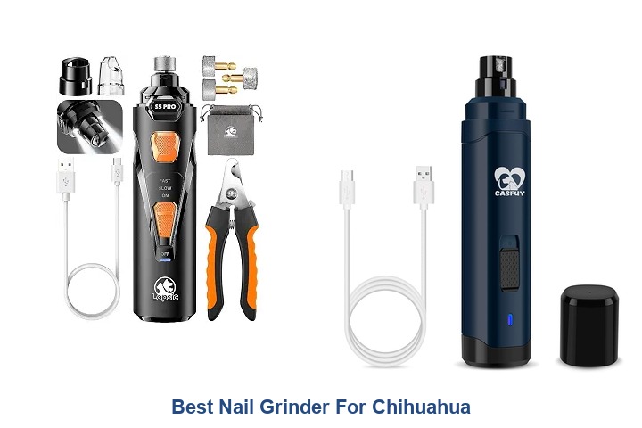 best nail grinder for chihuahua