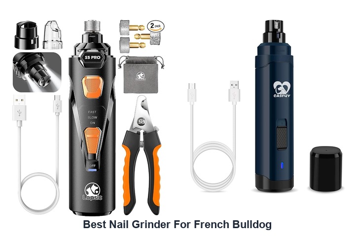 best nail grinder for french bulldog