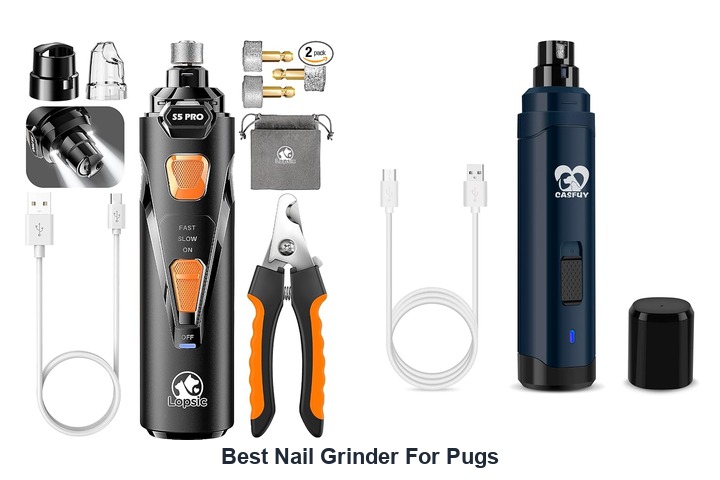 best nail grinder for pugs