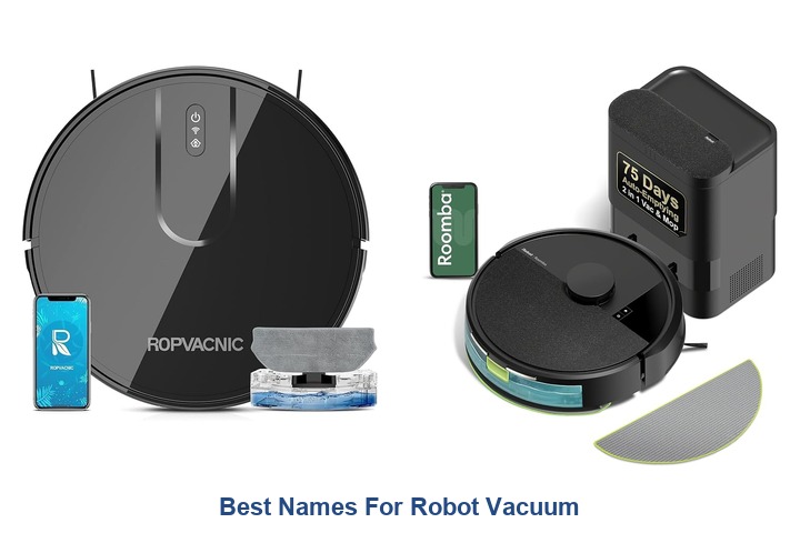 best names for robot vacuum