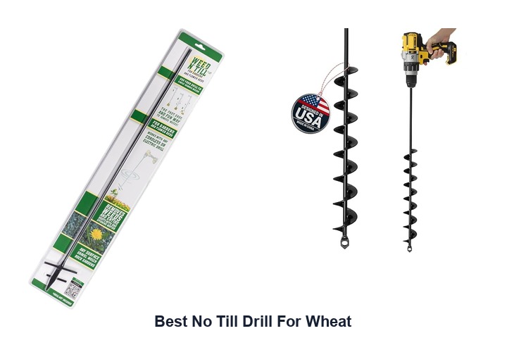 best no till drill for wheat