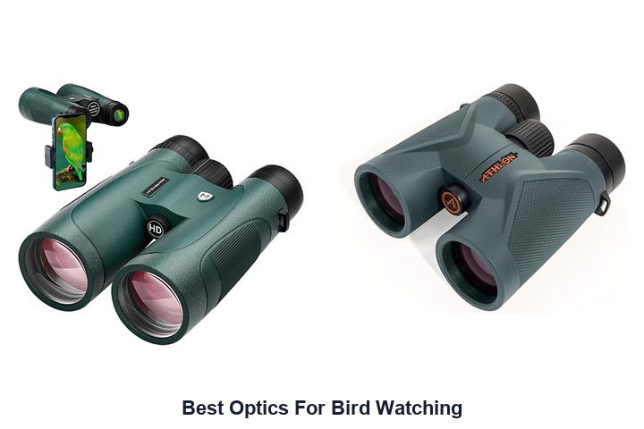 best optics for bird watching