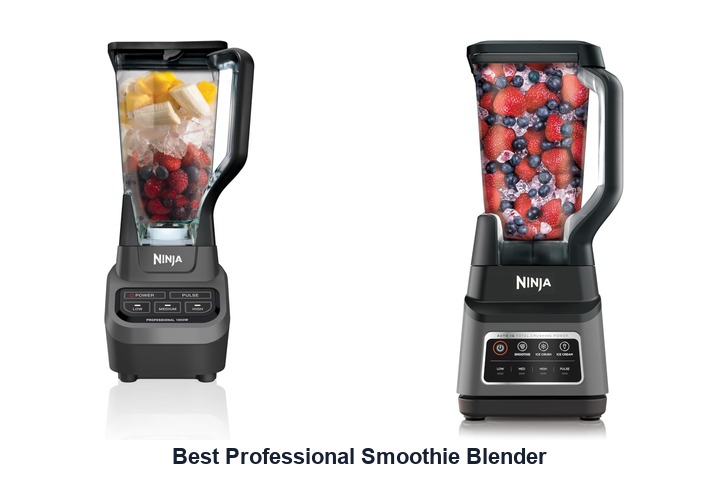 best professional smoothie blender
