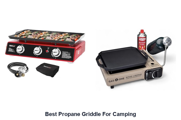 best propane griddle for camping​