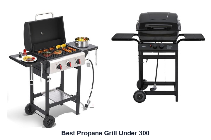 best propane grill under 300