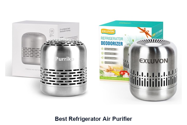 best refrigerator air purifier