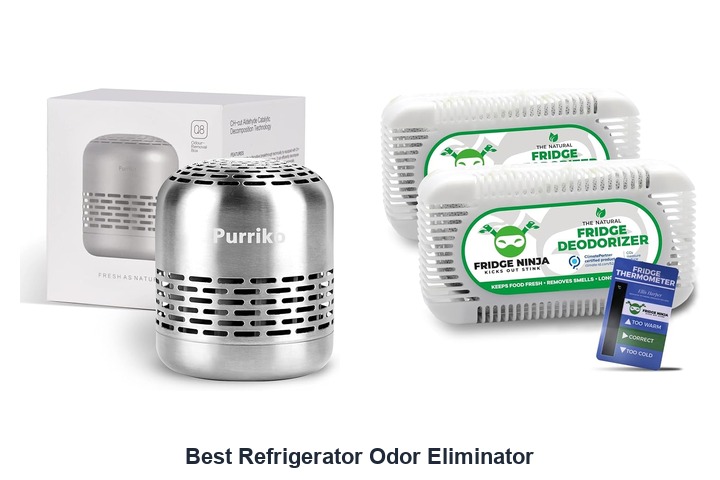 best refrigerator odor eliminator