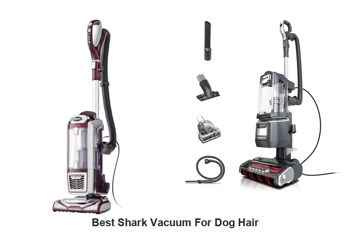 best shark vacuum for dog hair