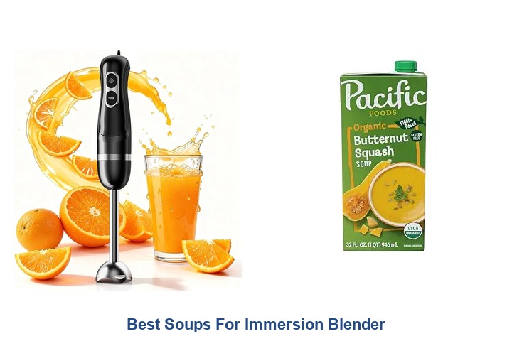 best soups for immersion blender