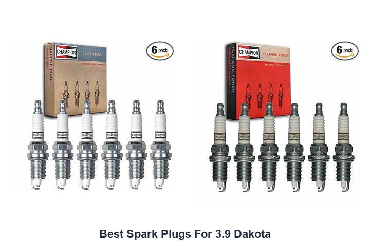 best spark plugs for 3.9 dakota