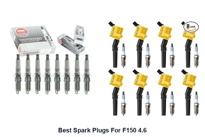best spark plugs for f150 4.6