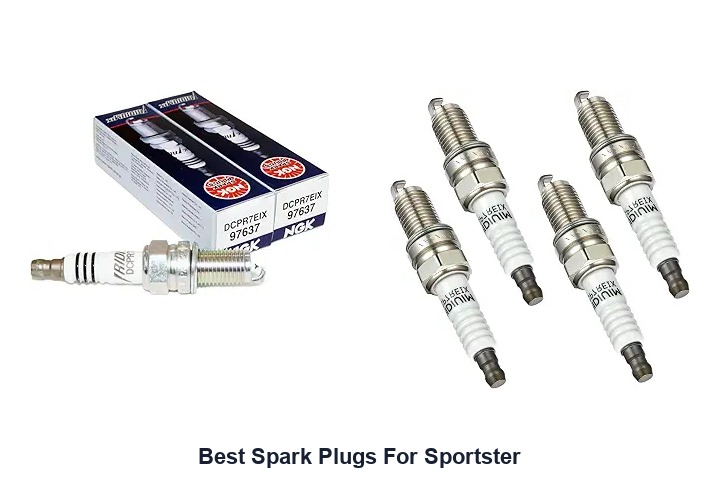 best spark plugs for sportster