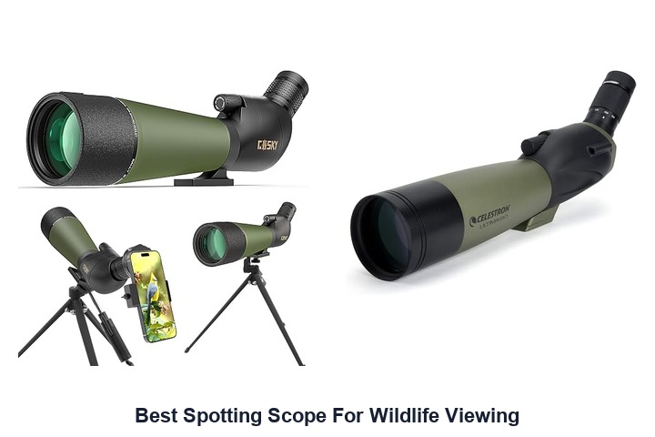 best spotting scope for wildlife viewing