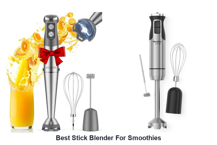 best stick blender for smoothies