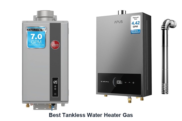 best tankless water heater gas