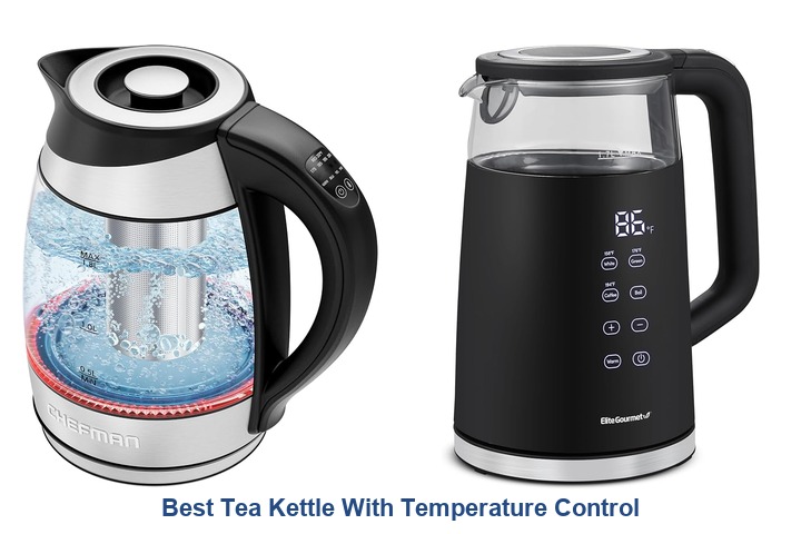 best tea kettle with temperature control​