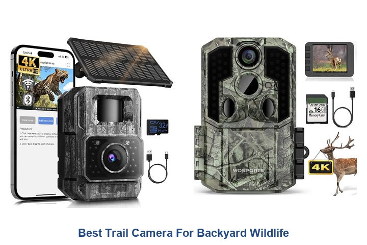 best trail camera for backyard wildlife